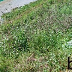 ・草刈り・耕運お任せください！