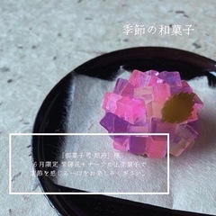 6/16(木),21(火)西八王子・高尾で紫陽花守りWS参加しませんか？の画像