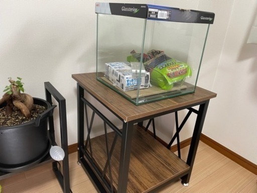 (購入者決まり)GEX 30キューブ水槽とその他