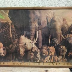 ジグソーパズル 「滝野晴夫 動物たちの地球 生命の歓び」 3個セ...