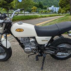 ape100 　の画像