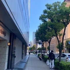 6/11朝活🌟宝物拾い🎁(ゴミ拾い)