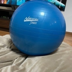 バランスボール55cmと足裏コロコロ