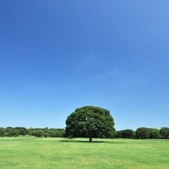 【公園でエクササイズ】アメリカ発祥のエクササイズ とヨガのコラボレッスン☆ハーブ付の画像