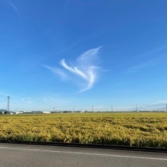 一緒に働きませんか？