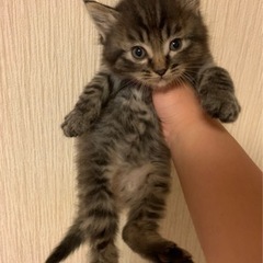里親様決まりました