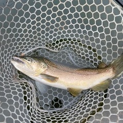 釣り友達を増やしたいです😊 - つくば市