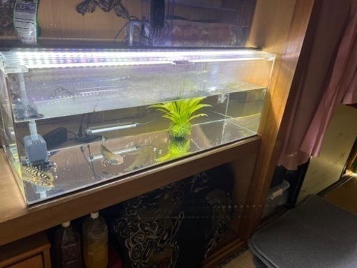 アクリル水槽