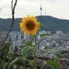 韓国語レッスン_2,000円/1h_初回無料体験有の画像