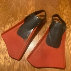 Redley fins レッドリーフィン