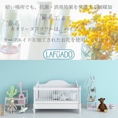 ハイブリッド触媒®️カタリーヌフラワー品川レッスンの画像