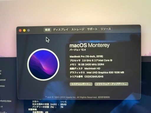 Macbook Pro 15インチ 16GB 1TB 2.9GHz i9(配送可)