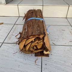 薪1束🌲の画像