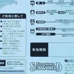 鴨川シーワールド 割引券の画像