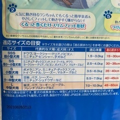 犬　男の子用オムツの画像