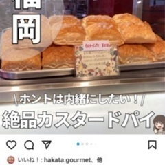 照明　ライトの画像