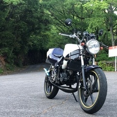 ns-1 ネイキッド仕様