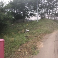 草刈り、定期的に毎年頼める方いませんか？(由布市庄内町)