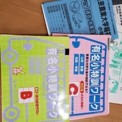 有名小特訓ワークB C 東京農業大学稲花小学校　過去問