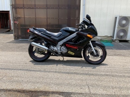 フルカウル　ZZR250 早い者勝ち