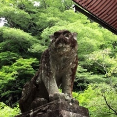 現代レイキ(各レベル/指導者養成)とタロット講座の画像