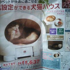 ペットハウス　6月末迄