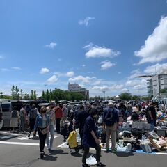 大井競馬場フリーマーケット運営のスタッフ募集！日給11,000円（当日現金支給も可）の画像