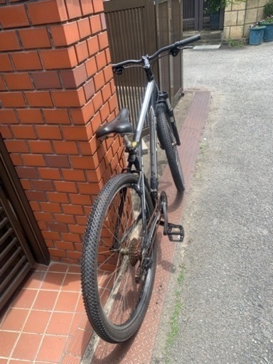 GT マウンテン　中古車