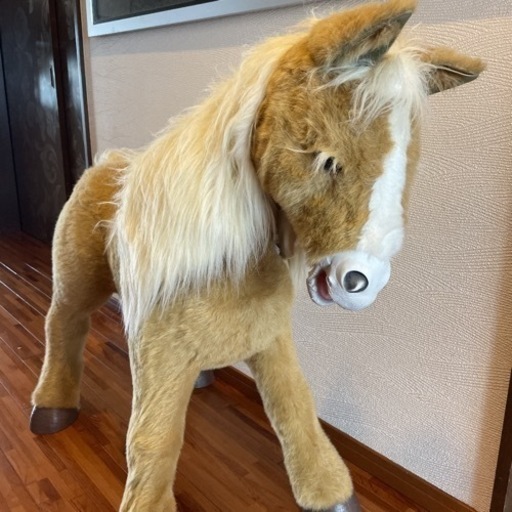 ポニー