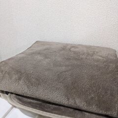 ラグ　グレージュ