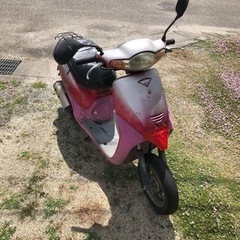 原付バイク