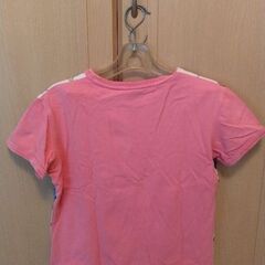 レディース　Ｔシャツ　Mサイズ　ネコの顔がいっぱいの画像