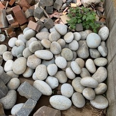 お問合せ多数の為、募集一時停止します。の画像