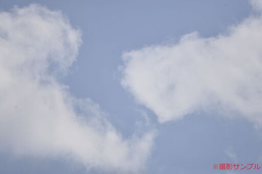 TAMRON/ニコン用 SP 150-600mm F5-6.3 Di VC USD/A011N ④