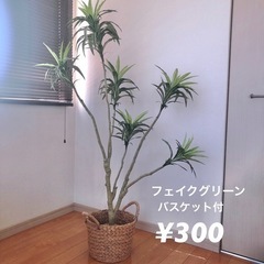 【取引確定】【バスケット付】フェイクグリーン
