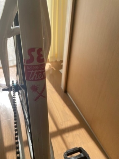 ピストバイク　シングルスピード