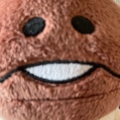 なめこ　定期入れ