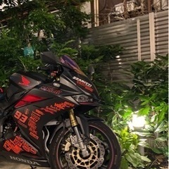CBR250RR MC51 カスタム多数