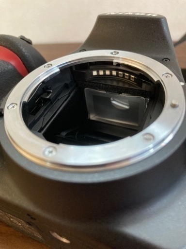 【美品】Nikon D3100