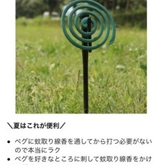 【値下】IWANOペグ 30cm セット 日本製 鍛造  8本の画像