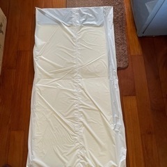 ミニトゥルースリパー　マットミニタイプ　未使用新品の画像