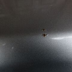 ホンダ　バモス　ボンネット　HM1　HM2の画像