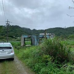 沖縄本島北部で山の自然を満喫しながら川遊びができる「源河川」すぐ側ッ♪ - 不動産