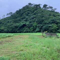 沖縄本島北部で山の自然を満喫しながら川遊びができる「源河川」すぐ側ッ♪ - 名護市