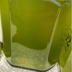 本日限定価格！！タマミジンコ