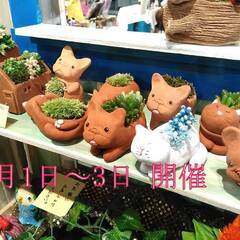 毎月第金一土日、関内駅直結のマリナード地下街で毎月開くアート＆ハ...