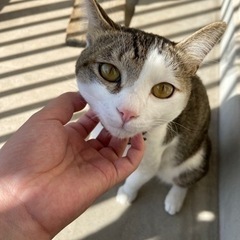 2歳と1歳半の子達です。