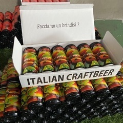 選べる6本‼︎訳あり品＆インテリア イタリアンクラフトビールの画像