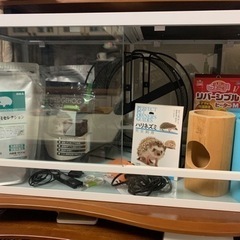 ハリネズミ飼育セット、パンテオンガラスゲージ