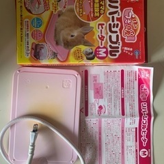 ハリネズミ飼育セット、パンテオンガラスゲージの画像